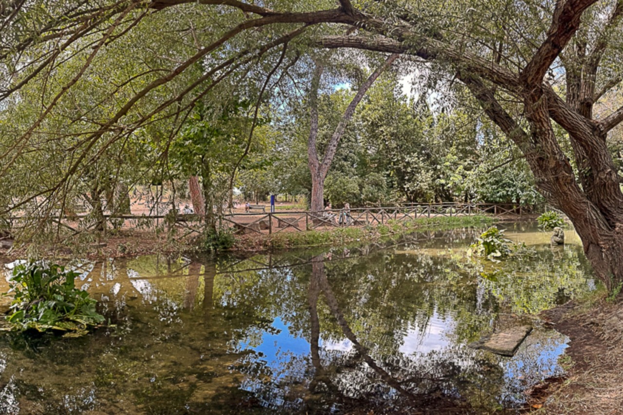 Successo per “Il Festival degli Aquiloni” al Parco degli Acquedotti