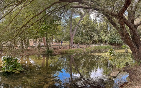 Successo per “Il Festival degli Aquiloni” al Parco degli Acquedotti