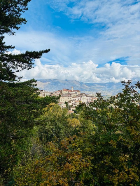 “Foreste in Comune”, il progetto