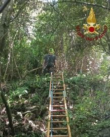 Uomo trovato morto in via del Tempio di Diana