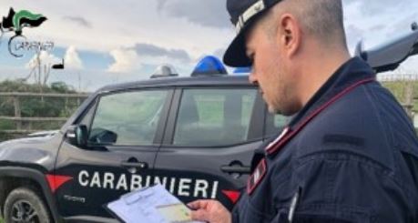 Cane aggressivo sequestrato nel centro storico: era gestito da un pregiudicato