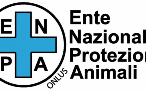 Caldo record, Enpa: “Proteggiamo anche gli animali”