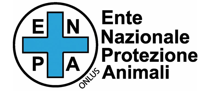 Caldo record, Enpa: “Proteggiamo anche gli animali”