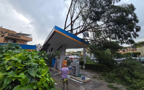Tromba d’aria sulla capitale, alberi caduti e allagamenti