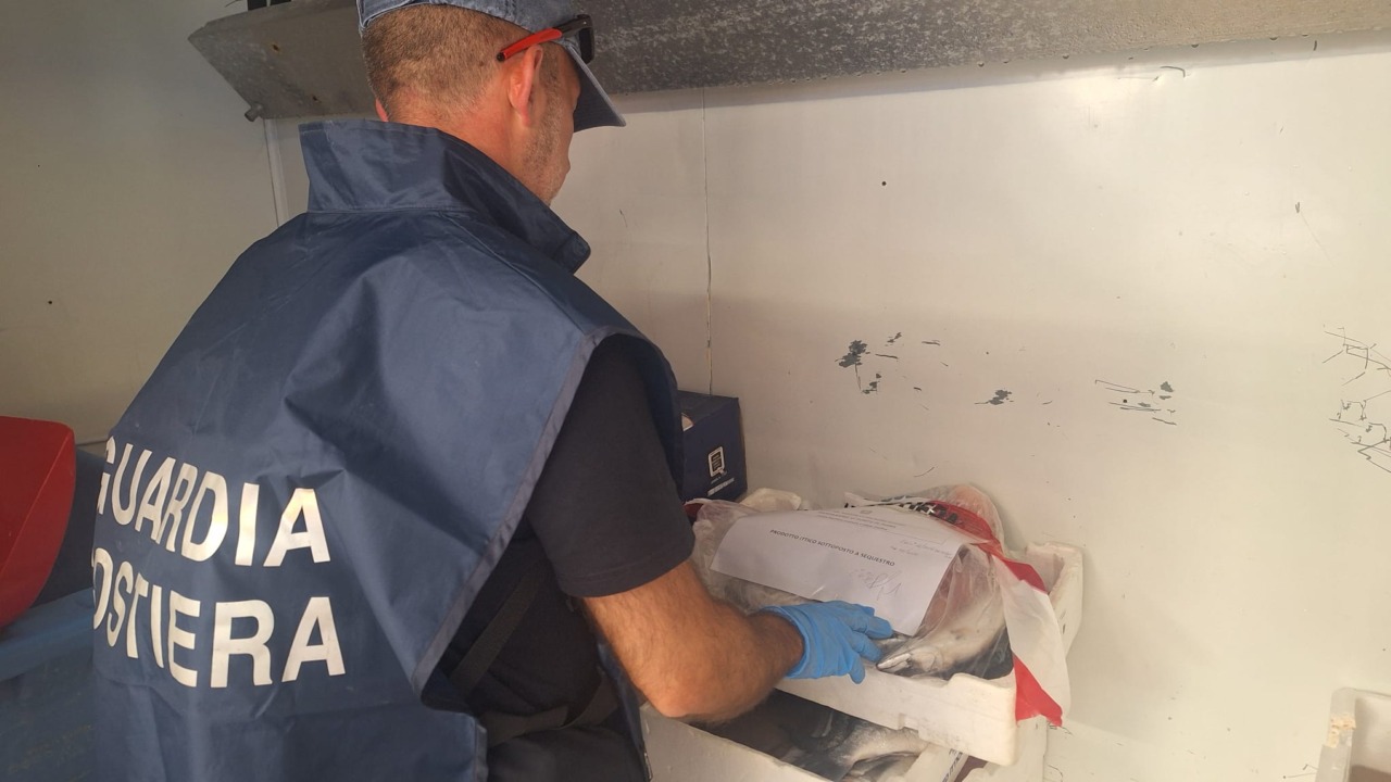 Controlli al mercato, multe e sequestri