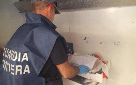 Controlli al mercato, multe e sequestri
