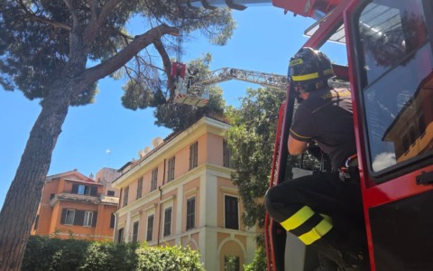 Rimosso ramo pericolante in via delle Terme di Traiano, nessun rischio per i cittadini