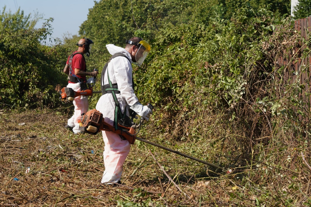 Verde, definito il piano operativo per diserbo, sfalcio e decoro
