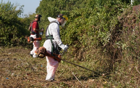 Verde, definito il piano operativo per diserbo, sfalcio e decoro