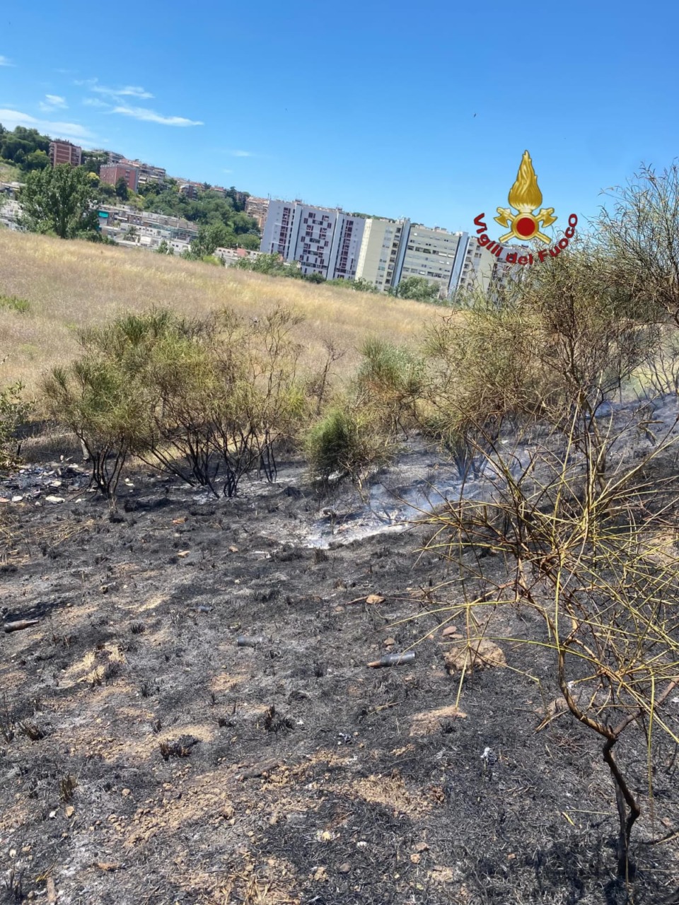 Incendio nella di sterpi a Monte Ciocci