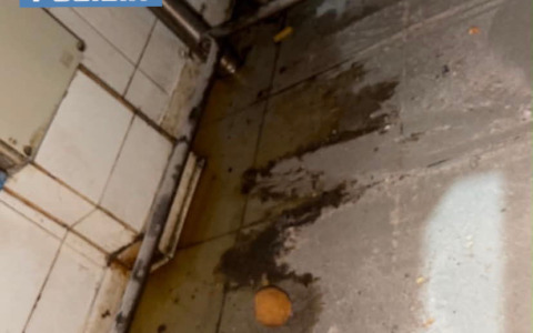 Controlli straordinari, scatta la sospensione per una pizzeria