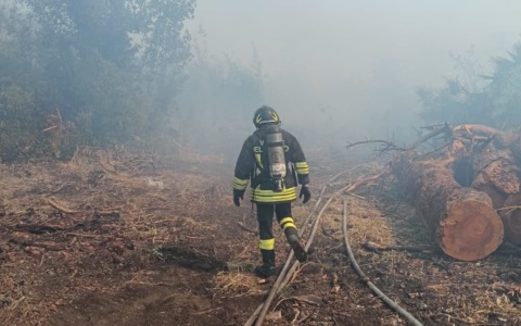 Incendi a Monte Ciocci e a Castel Porziano, evacuate alcune abitazioni. Le fiamme domate dopo ore / FOTO