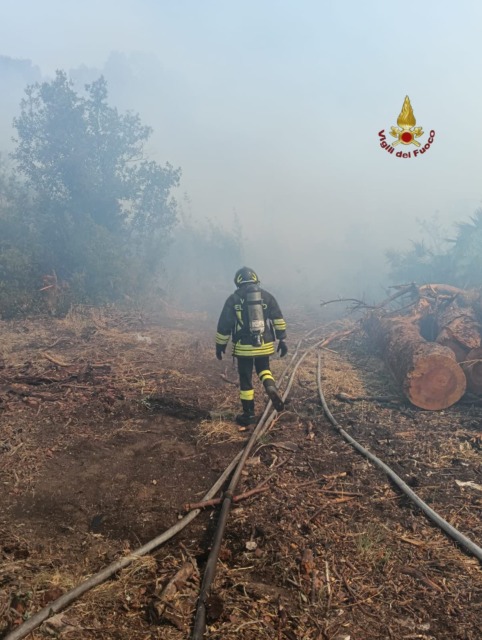 Fiamme a Monte Ciocci e Castel Porziano, evacuate alcune abitazioni