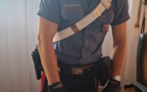 Stretta dei Carabinieri, due arresti per droga e due denunce per ricettazione