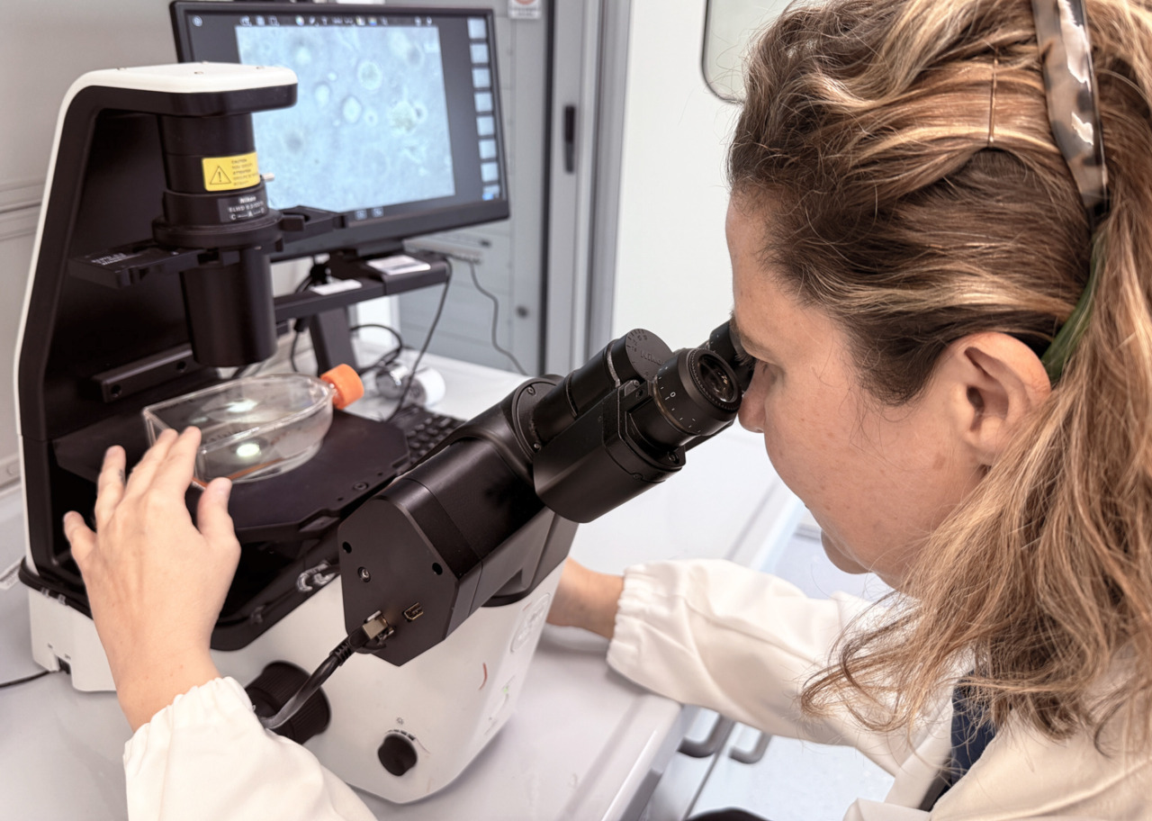Nuova arma contro i tumori dal Bambino Gesù: cellule immunitarie geneticamente modificate