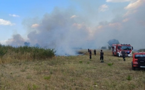 Vasto incendio al Parco del Pineto, fumo visibile in tutta la zona ovest