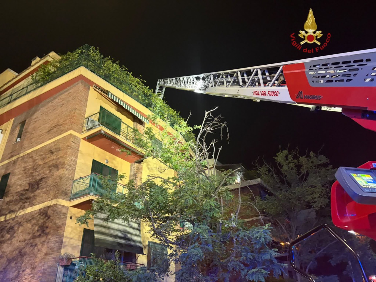 Fiamme in un appartamento, i Vigili del Fuoco entrano con l’autoscala e salvano due gattini