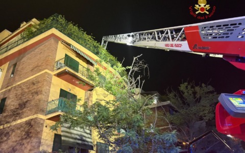 Fiamme in un appartamento, i Vigili del Fuoco entrano con l’autoscala e salvano due gattini