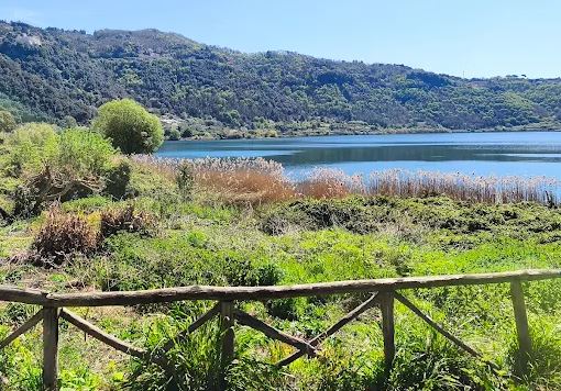 Cade da un albero sulla riva del lago: grave una 37enne di Cisterna