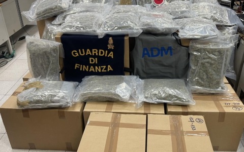 Scoperto camion con 231 chili di marijuana