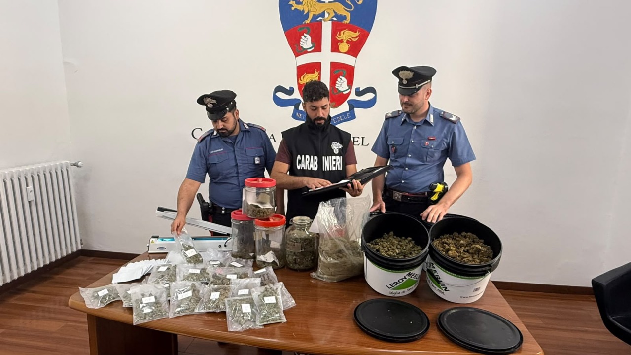 Irregolarità in un’azienda di canapa a basso contenuto di Thc, tre arresti