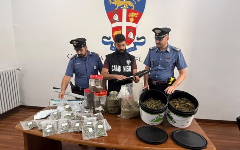 Irregolarità in un’azienda di canapa a basso contenuto di Thc, tre arresti