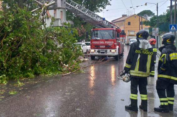 Pioggia e incendi, oltre 140 interventi dei vigili del fuoco a Roma e in provincia
