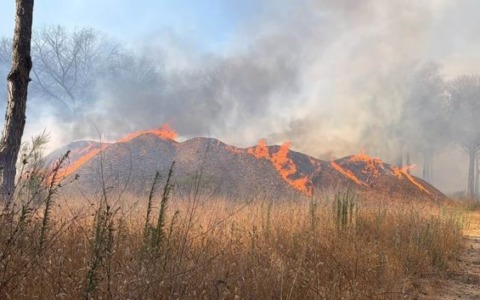 Devastante incendio nella Pineta della Campana, bruciati 60 ettari