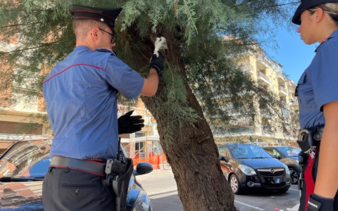 Esplosione in Via Fasan, due arresti per spaccio