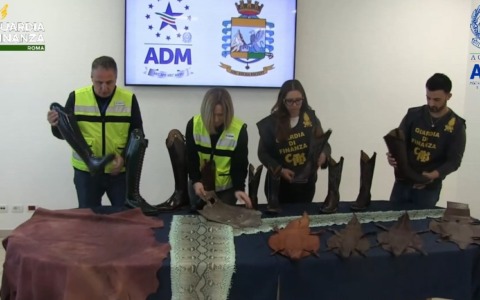 Sequestrati stivali e accessori con pelle di animali in via di estinzione