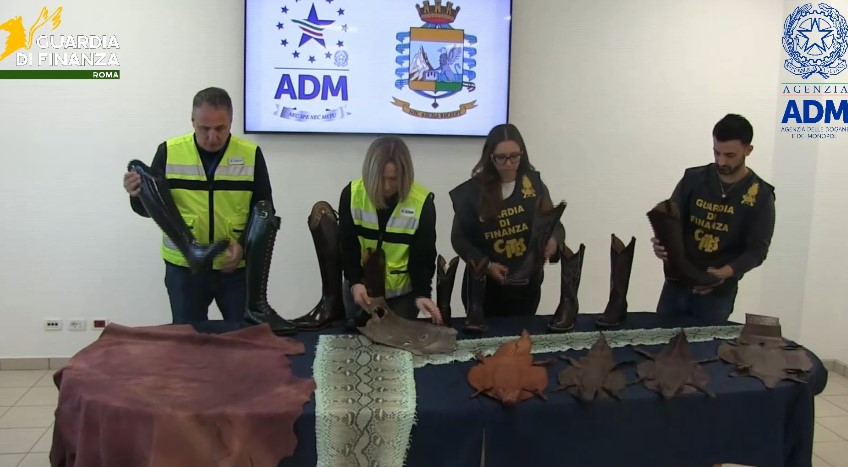 Sequestrati stivali e accessori con pelle di animali in via di estinzione