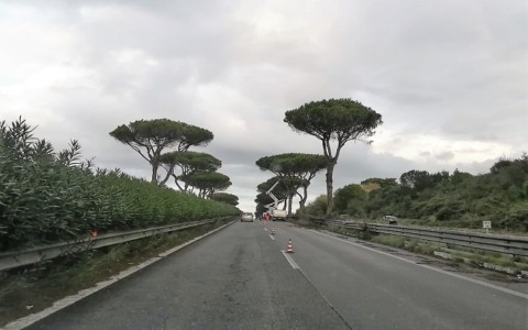 Via Colombo, via del Mare e Ostiense: modifiche alla viabilità per gli interventi sulla vegetazione