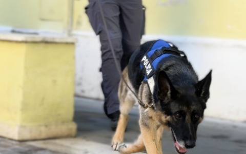Droga nascosta nelle dispense e dentro il frigo, 6 arresti