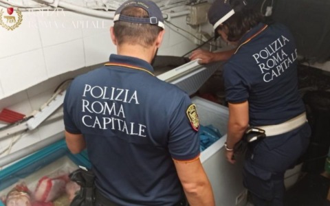 “Zona rossa”, sequestrati oltre 60 chili di alimenti e centinaia di prodotti abusivi