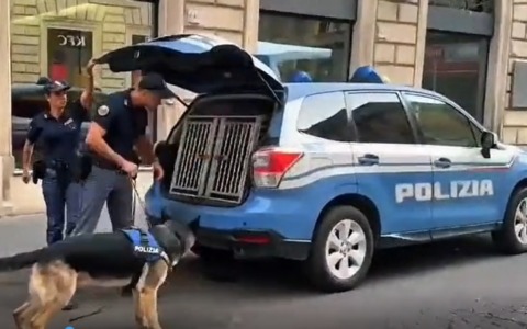 Topi e blatte in due locali, i controlli straordinari dall’Esquilino a Termini