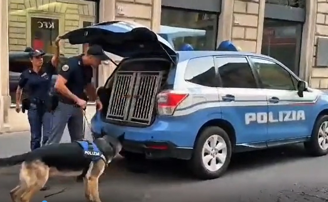 Topi e blatte in due locali, i controlli straordinari dall’Esquilino a Termini