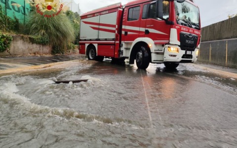 Maltempo, allagamenti e alberi caduti. Un pino finisce su un’auto dei Carabinieri a Prati, automobilisti salvati all’Aurelio