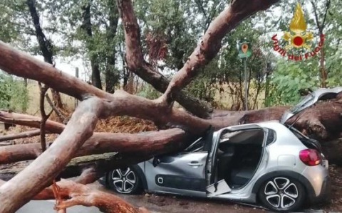 Maltempo, allagamenti e danni. Albero su un’auto in via Ardeatina, grave un uomo. Un pino finisce sulla macchina dei Carabinieri a Prati / FOTO