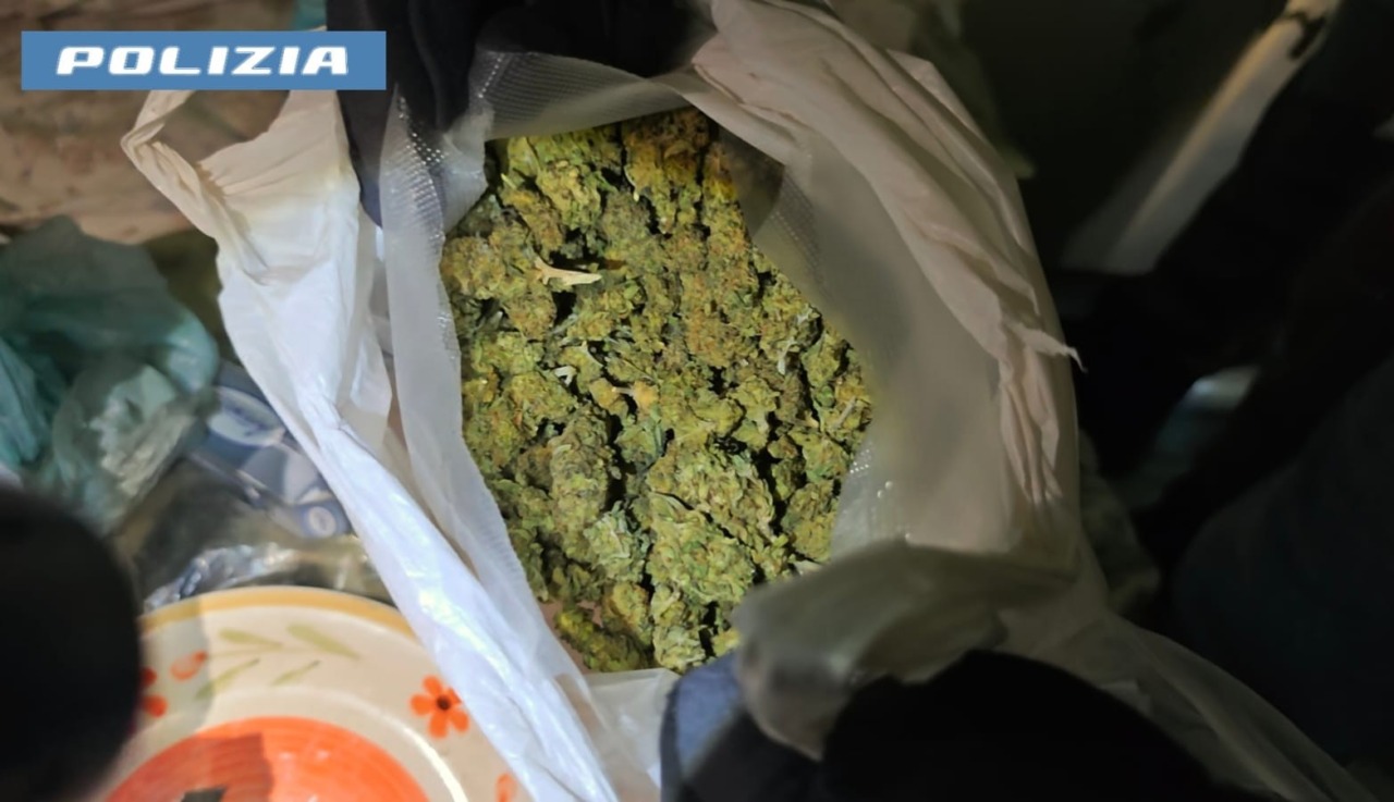 Dalla segnalazione di un furto alla scoperta di una serra di droga, arrestata una donna