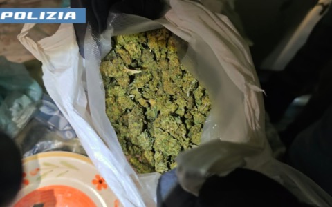 Dalla segnalazione di un furto alla scoperta di una serra di droga, arrestata una donna