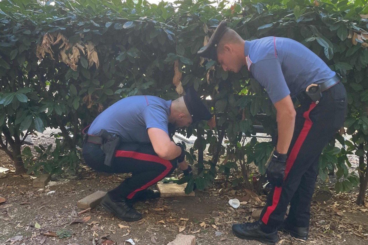 Controlli antidroga, 15 arresti e sequestri