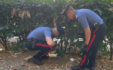 Controlli antidroga, 15 arresti e sequestri