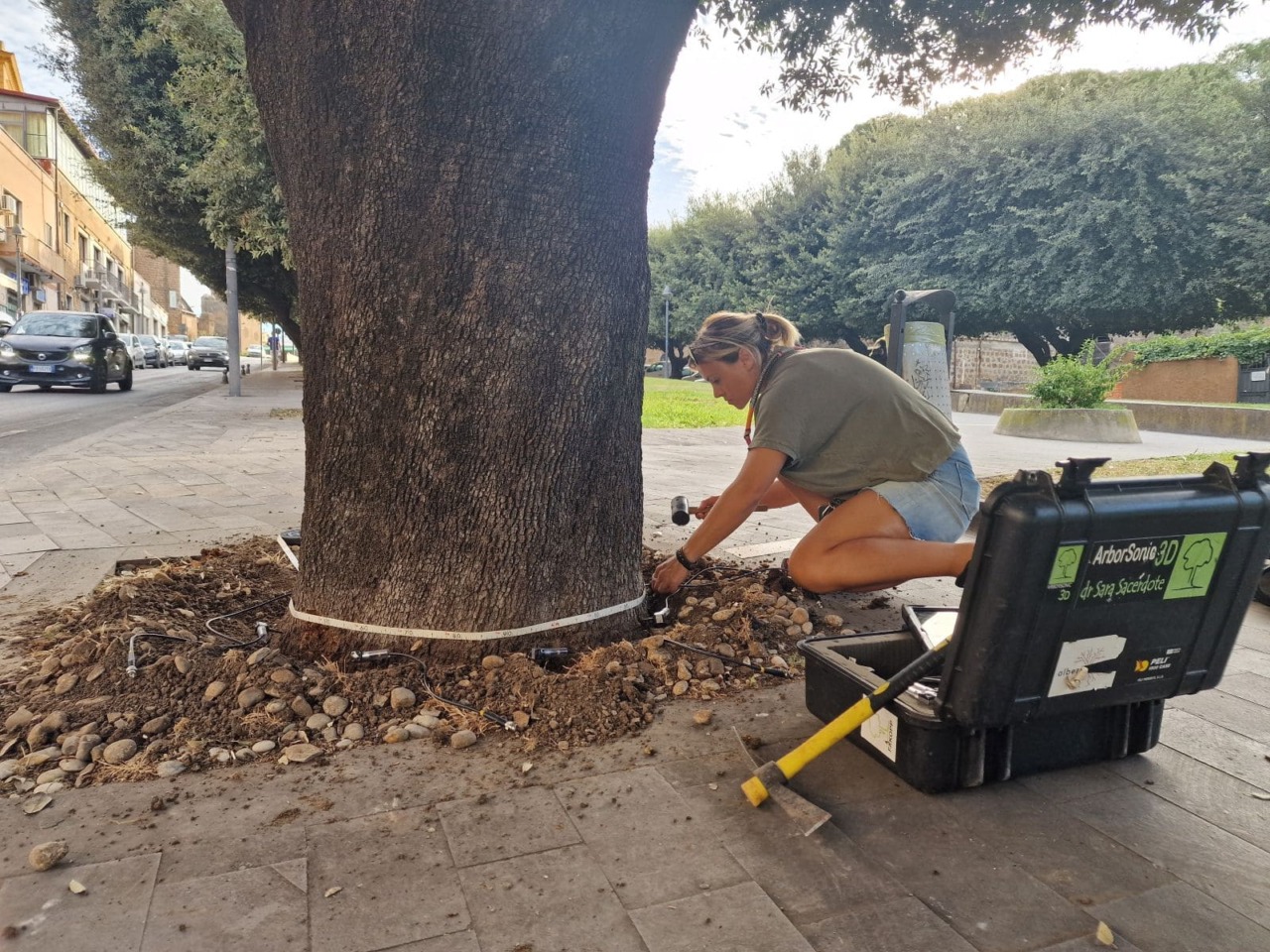 L’analisi dei lecci del Parco della Rimembranza