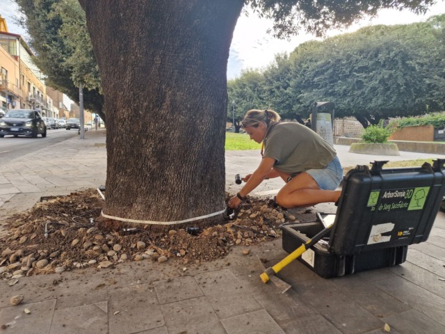 L’analisi dei lecci del Parco della Rimembranza