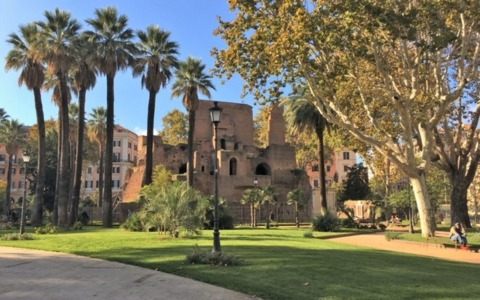 Palme storiche, parte il quarto ciclo di interventi