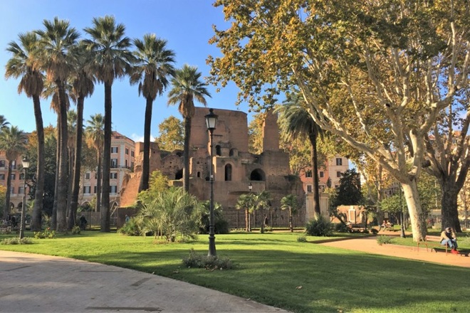 Palme storiche, parte il quarto ciclo di interventi