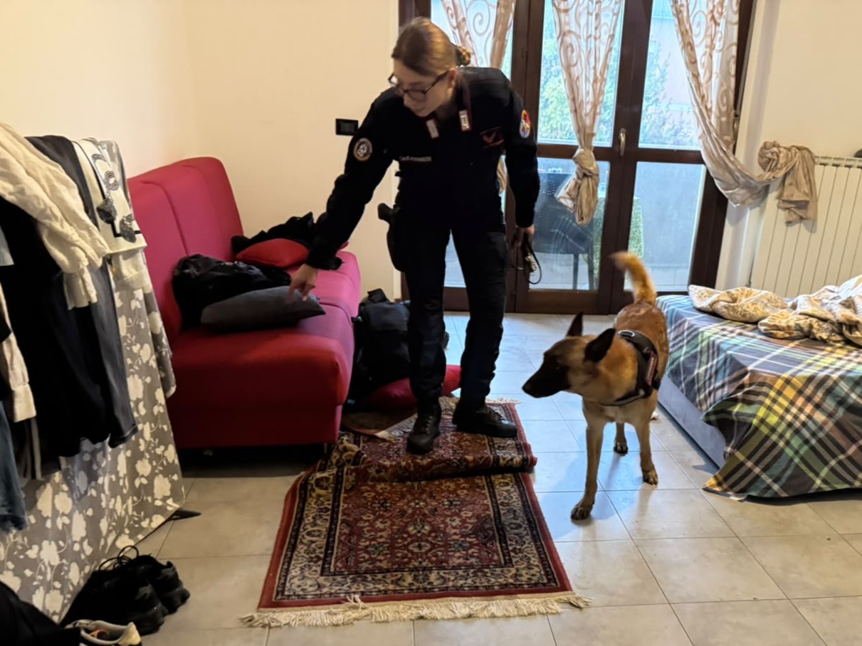 Operazione “Alto Impatto” a Roma: Carabinieri in azione a La Storta e Casalotti