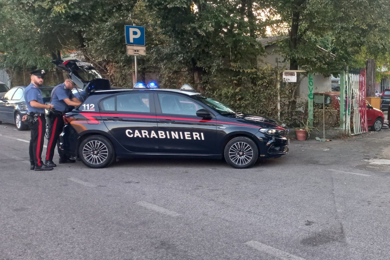 Controlli nei campi e negli insediamenti, oltre 260 persone identificate, una denuncia e sequestri di droga